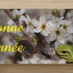 service a domicile-aide a domicile Arles-garde d'enfant Arles-menage Alpilles-entretien de locaux Bouches-du-Rhone-aide a la personne Arles