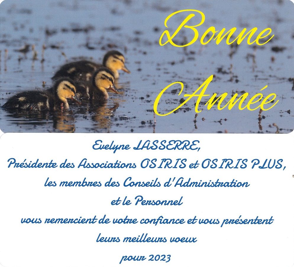 service a domicile-aide a domicile Arles-garde d'enfant Arles-menage Alpilles-entretien de locaux Bouches-du-Rhone-aide a la personne Arles